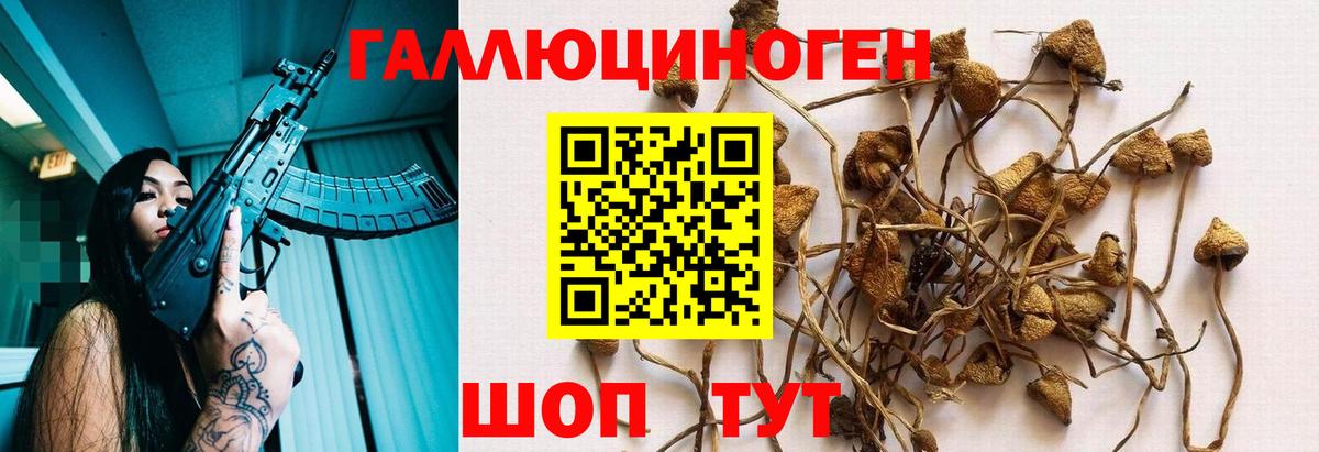 Новый Уренгой  Псилоцибиновые грибы MAGIC MUSHROOMS  Псилоцибиновые грибы MAGIC MUSHROOMS  Вход с VPN 